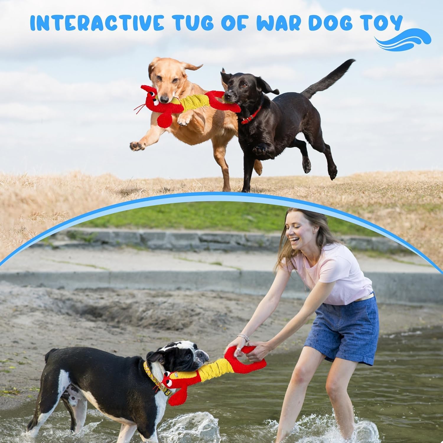 Interactive Tug Dog Toy – Durable Plush Handle Chew Toy for Dogs